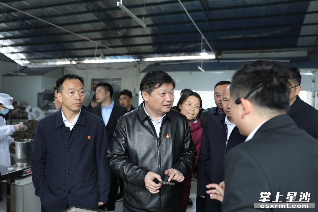 付旭明在世界杯购买平台网站桑植白茶洪家关工厂调研产业发展情况。.jpg